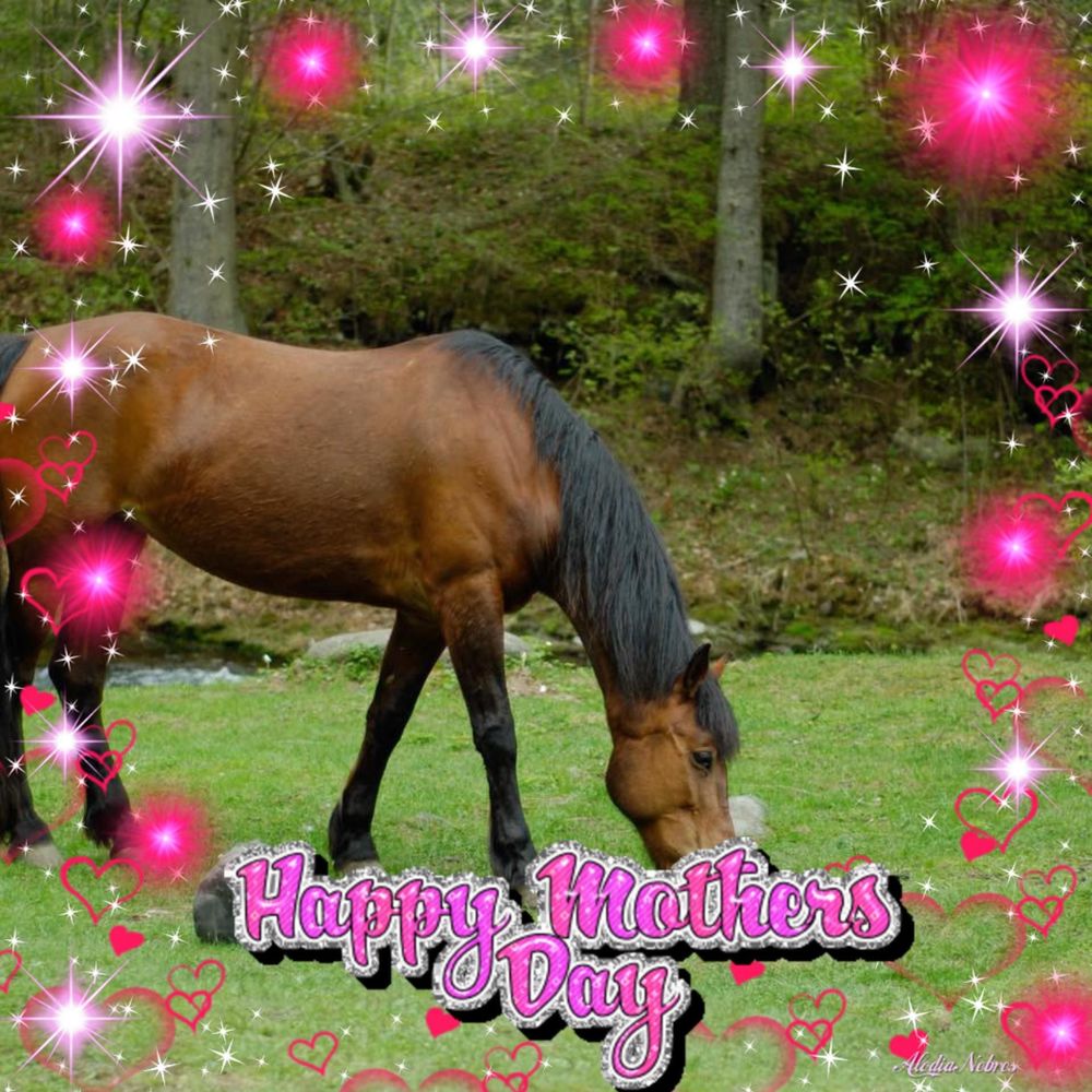 Meet your Posher, Lego